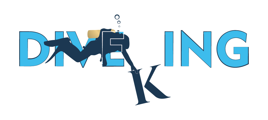 DiveKing Logo